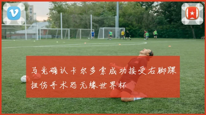 马竞确认卡尔多索成功接受右脚踝扭伤手术恐无缘世界杯